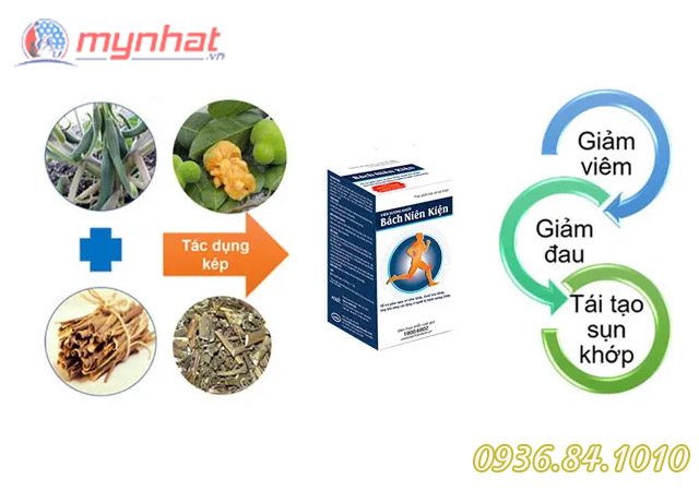 thành phần bách niên kiện