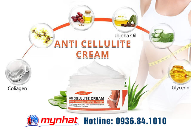 Thành phần có trong Elaimei Anti Cellulite Cream