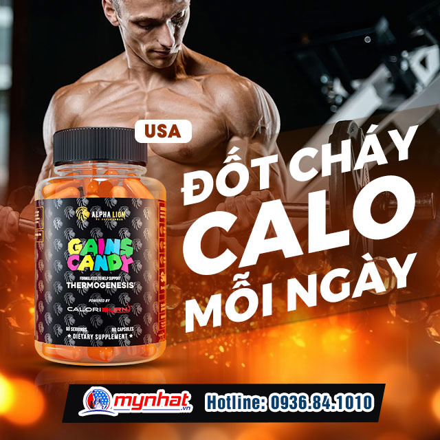 GAINS CANDY CALORIBURN là gì