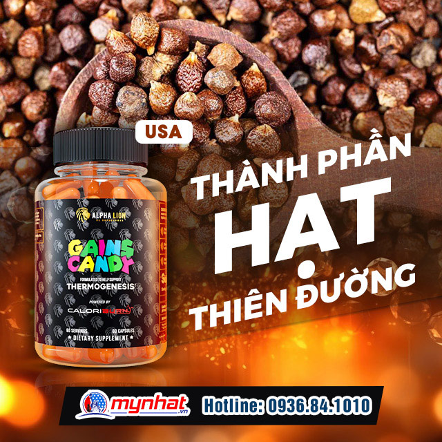 Thành phần có trong viên uống GAINS CANDY CALORIBURN