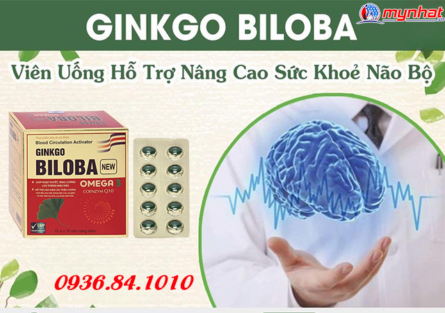 ginko biloba là gì