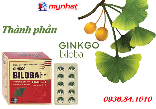 thành phần Ginkgo Biloba New