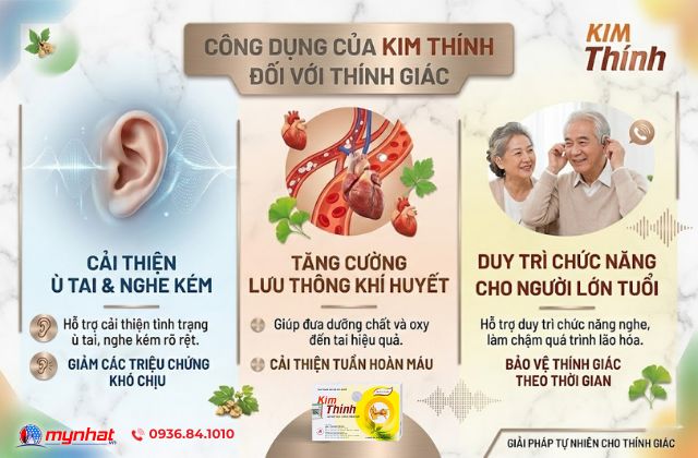 Công dụng của Kim Thính đối với thính giác