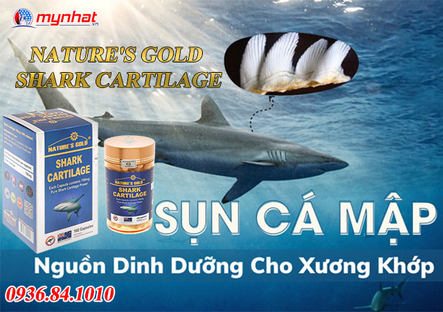 thành phần natures gold shark cartilag