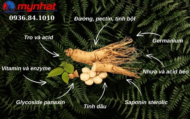 2. Dưỡng chất có trong nhân sâm