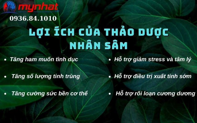 4. Lợi ích nổi bật của thảo dược nhân sâm đối với sinh lý nam giới