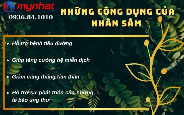 3. Những công dụng của thảo dược nhân sâm đối với sức khỏe