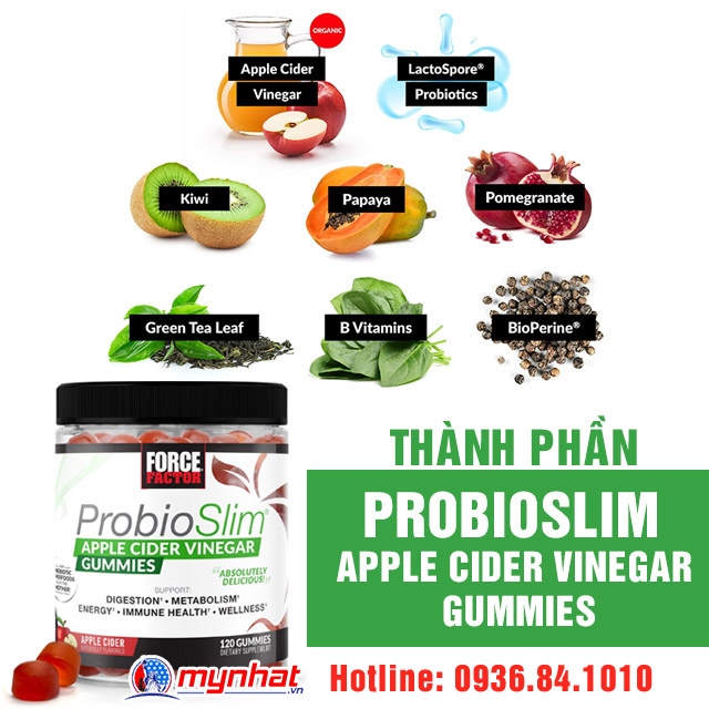 Thành phần của kẹo giảm cân ProbioSlim Apple Cider Vinegar Gummies