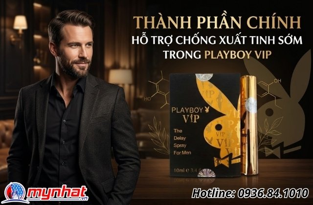 Thành phần chính hỗ trợ chống xuất tinh sớm trong Playboy VIP