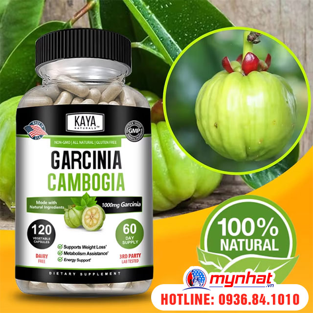 Thành phần của viên giảm cân Pure Garcinia Cambogia