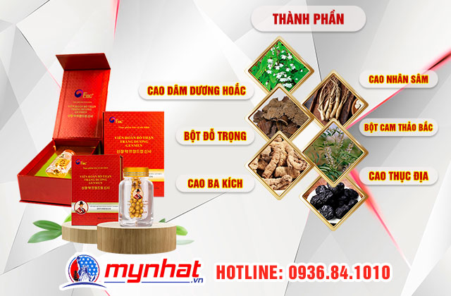 Thành phần có trong Viên Hoàn Bổ Thận Tráng Dương Genmen