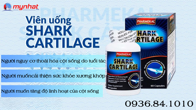 ai nền dùng viên uống shark cartilage
