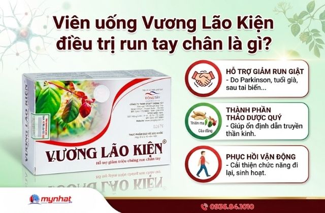 Vương Lão Kiện là gì?