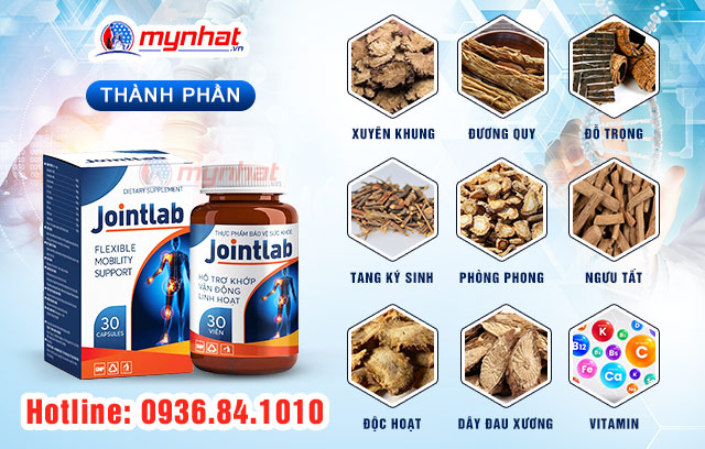 Thành phần chính trong Jointlab