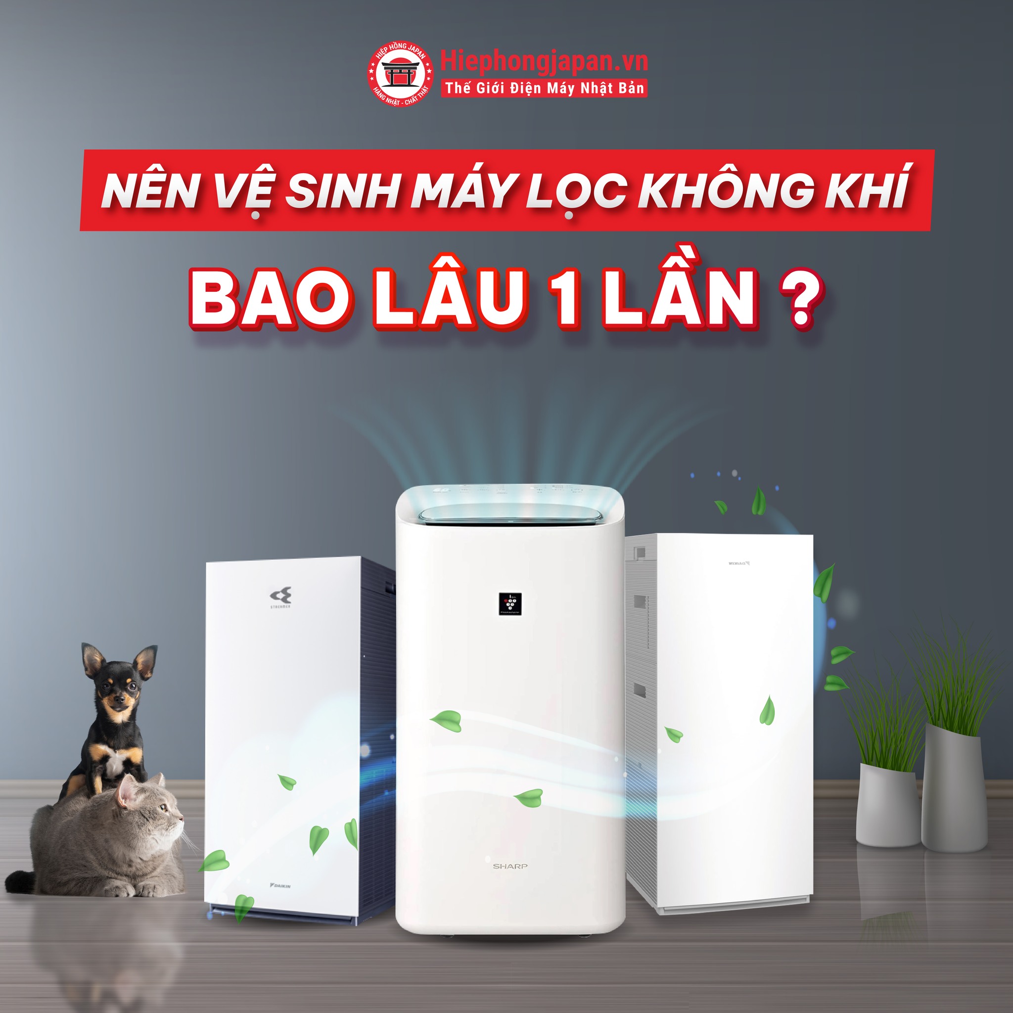 bao lau nen ve sinh may loc khong khi 1 lan?