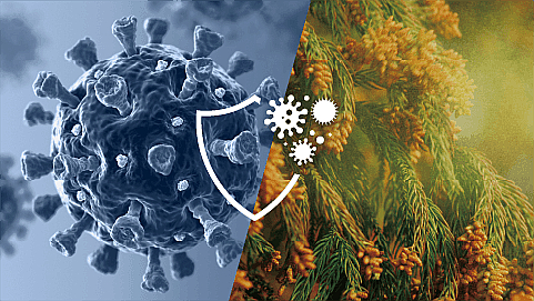 diệt khuẩn hiệu quả daikin mck905a-w