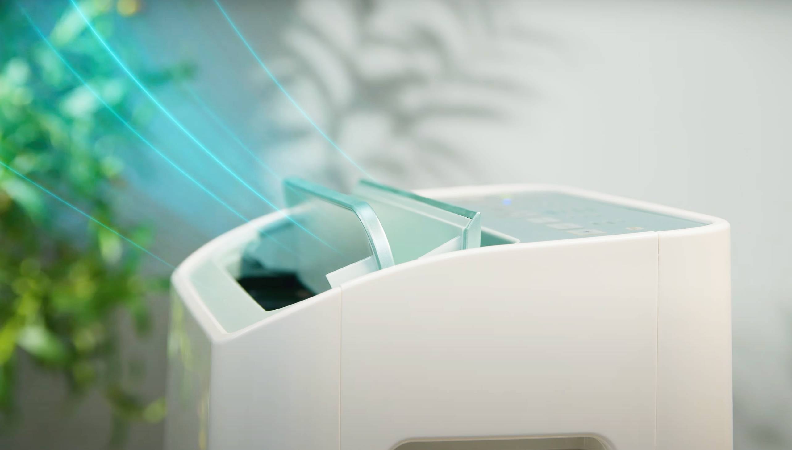 chon may hut am co do on thap