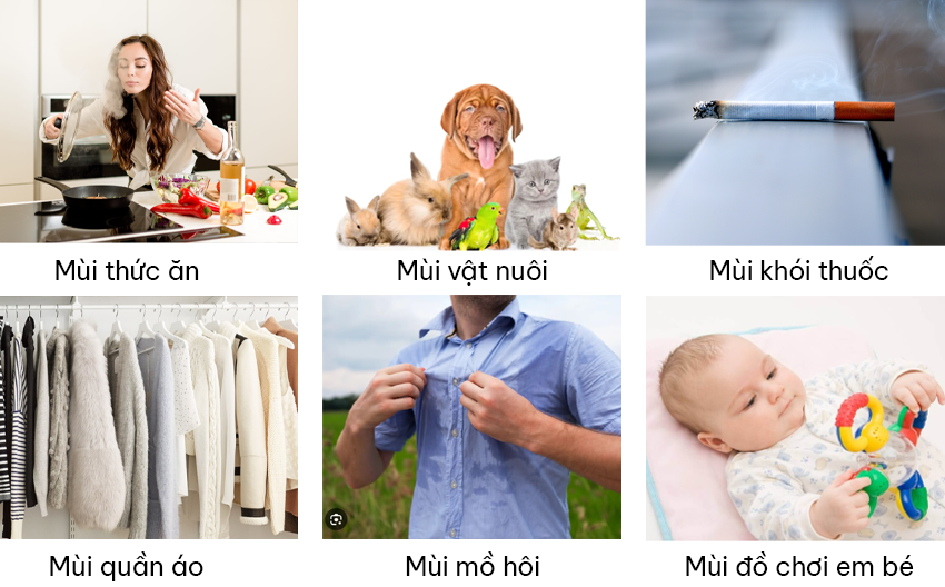 khong khi trong lanh khi su dung kc hd70