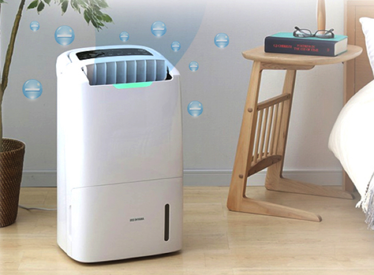 mua may loc khong khi o dau