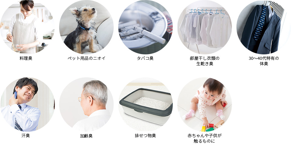 loai bo long cho meo