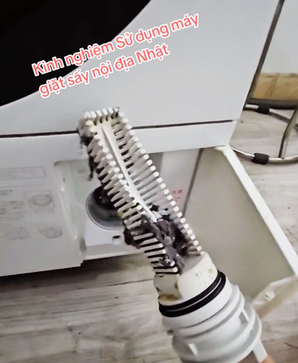 nen ve sinh khay dung rac thuong xuyen