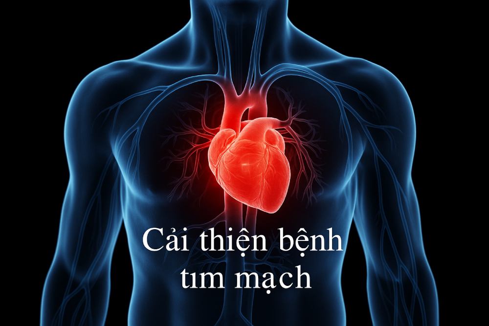 nươc ion kiềm cải thiện sức khoẻ tim mạch