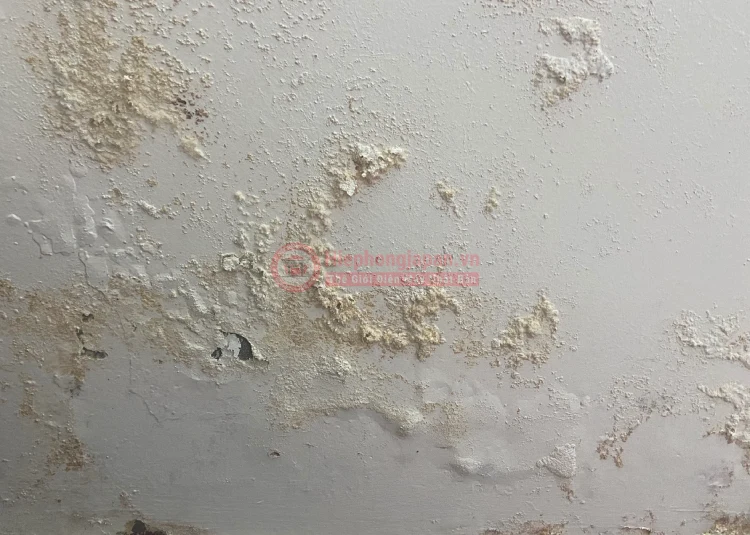 tuong bi rop khi do am cao