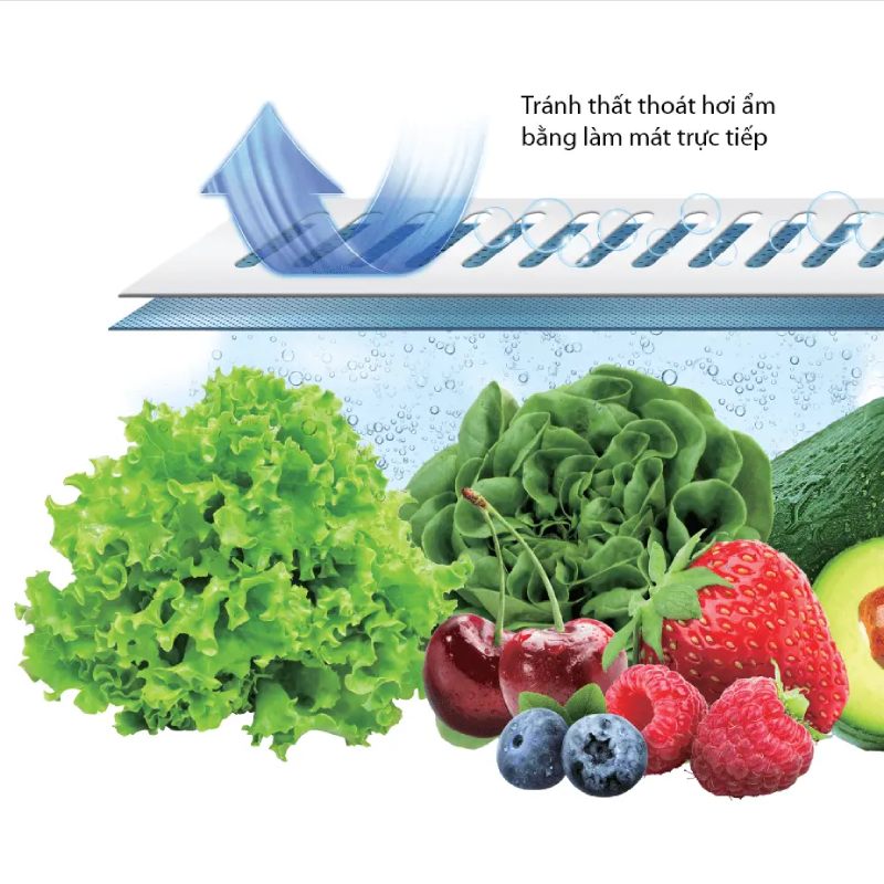 Công nghệ Hydro Fresh