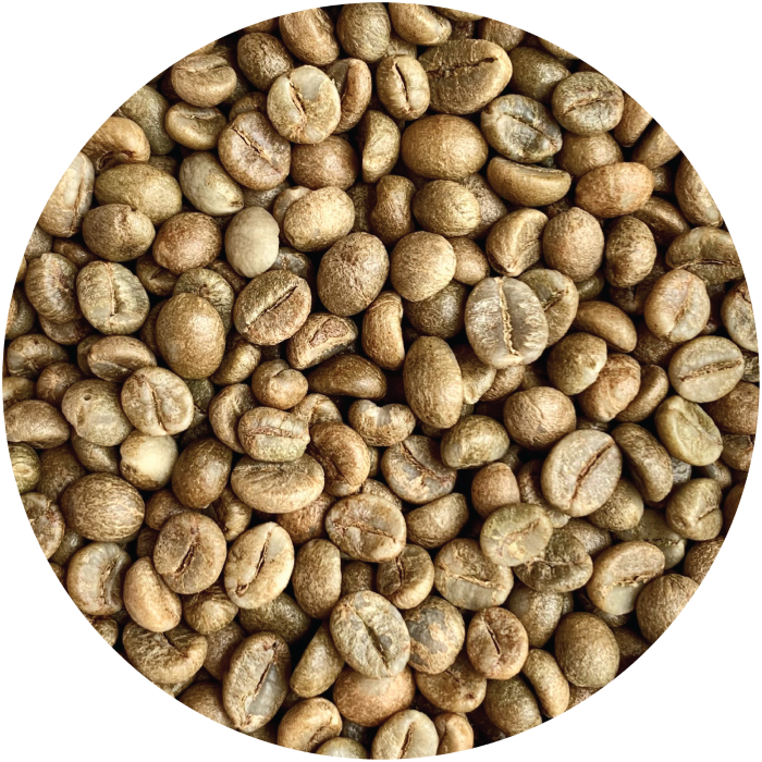Cà Phê Robusta Honey