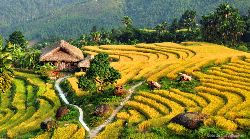 Ruong-bac-thang