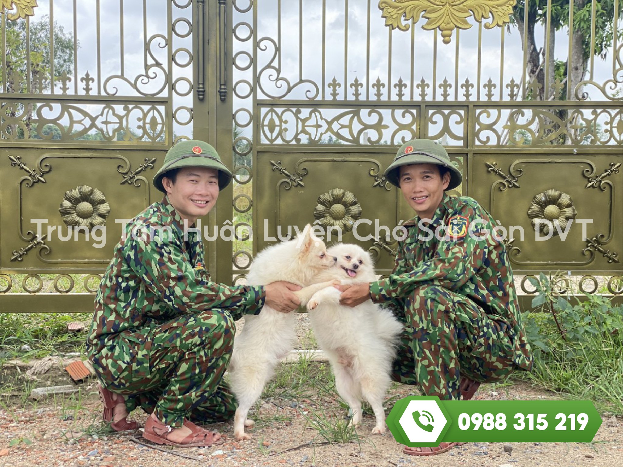 Bảng giá huấn luyện chó 2024