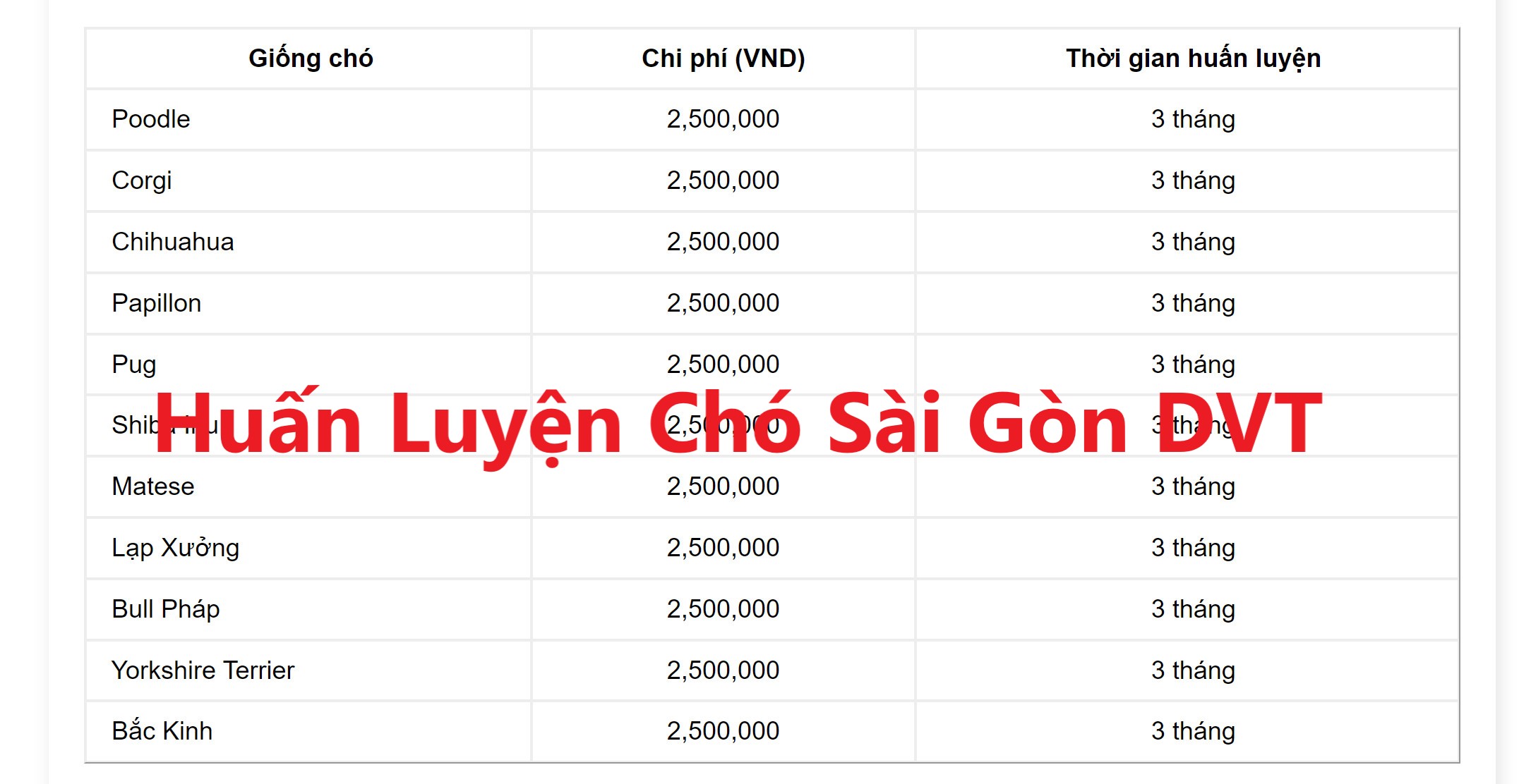 Bảng giá huấn luyện chó 2024