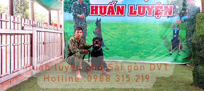 huan-luyen-cho-sai-gon-dvt