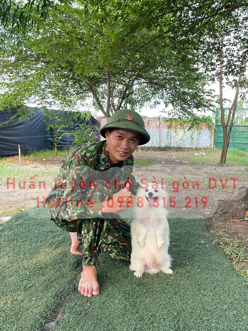 huan-luyen-cho-sai-gon-dvt