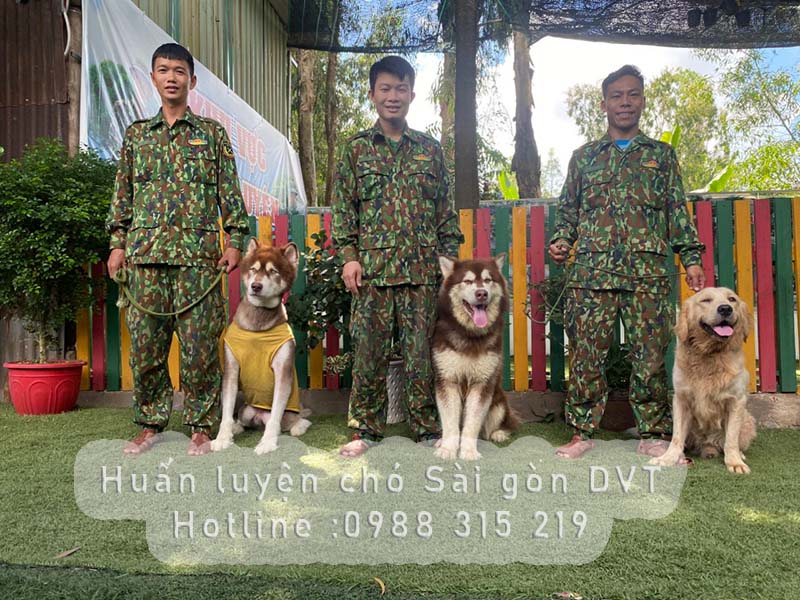 huan-luyen-cho-sai-gon-dvt