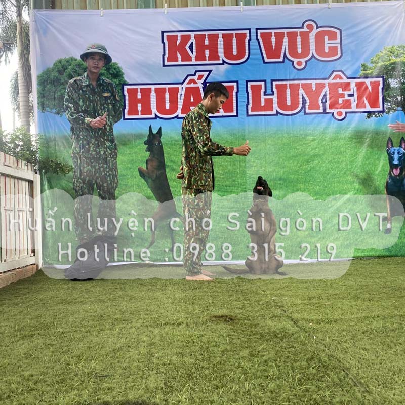 huan-luyen-cho-sai-gon-dvt
