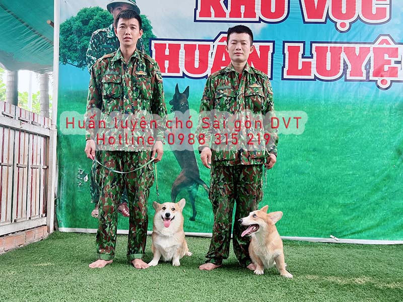 huan-luyen-cho-sai-gon-dvt