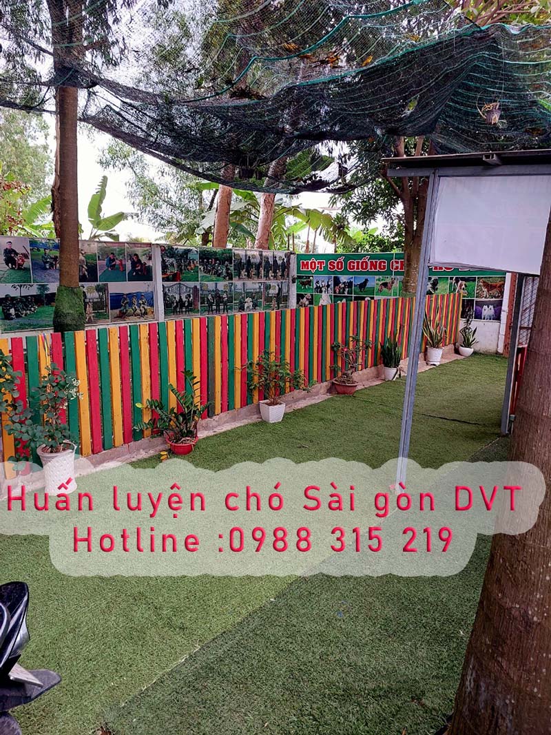huan-luyen-cho-sai-gon-dvt