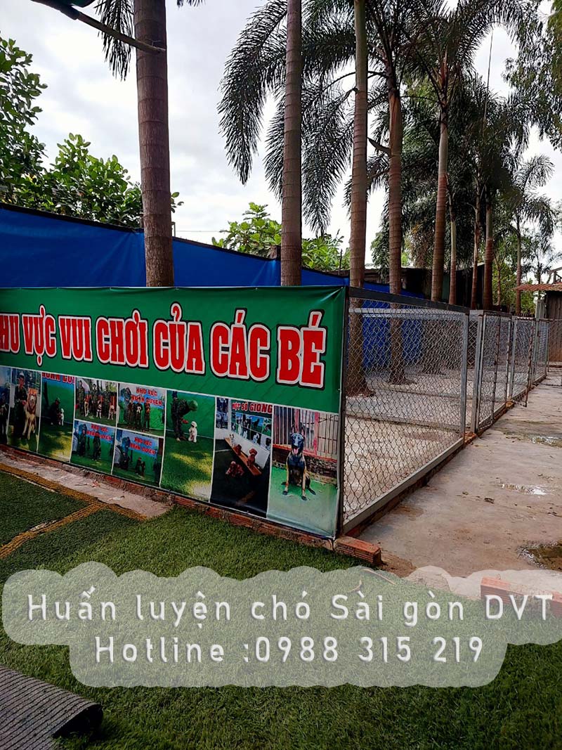 huan-luyen-cho-sai-gon-dvt