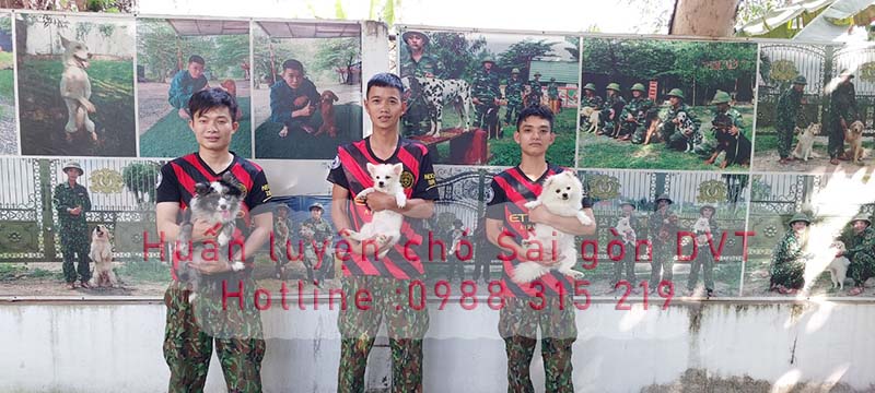 huan-luyen-cho-sai-gon-dvt