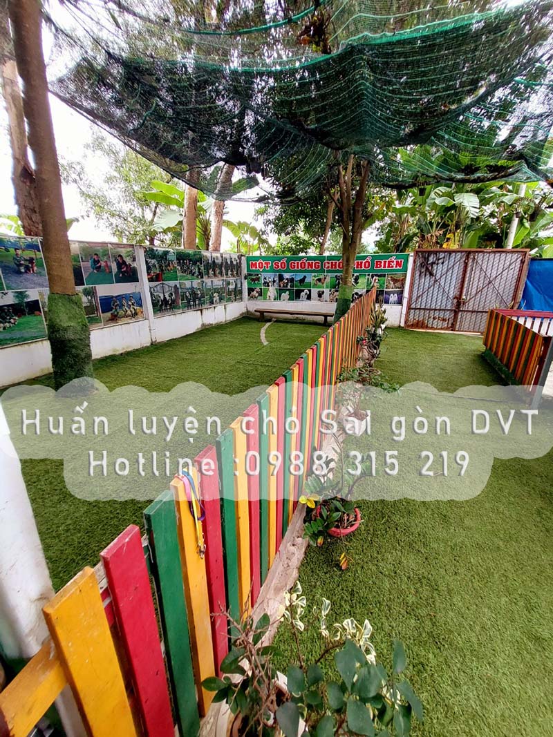 huan-luyen-cho-sai-gon-dvt