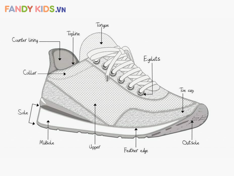 Đệm (Midsole)