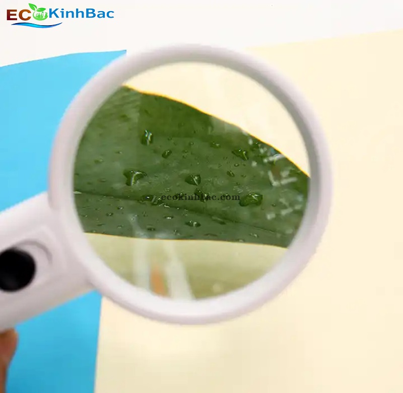 Kính lúp cầm tay có đèn MG6B-4 4X 65mm