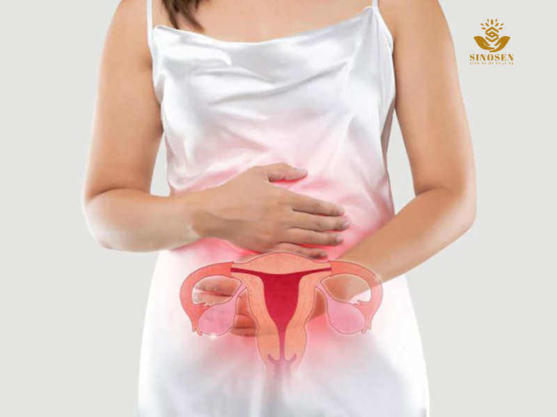 âm đạo từ 30 đến 40 tuổi