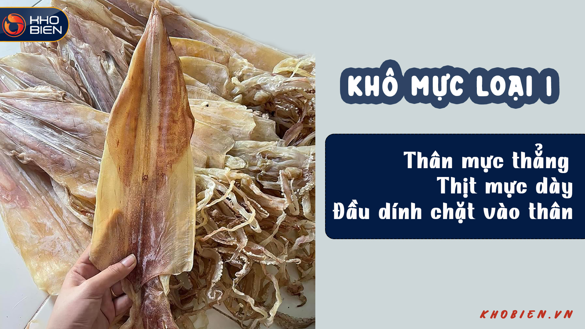 khô mực loại 1