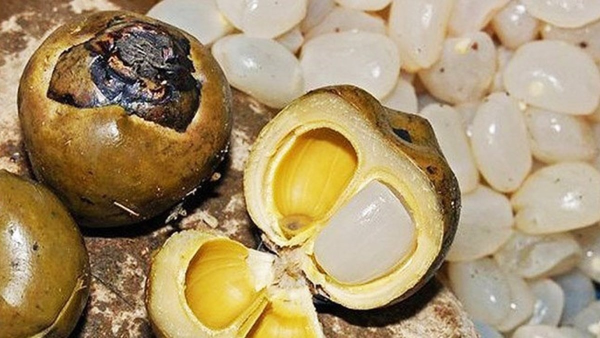 hat-dac-tuoi-va-rim-duong-phen