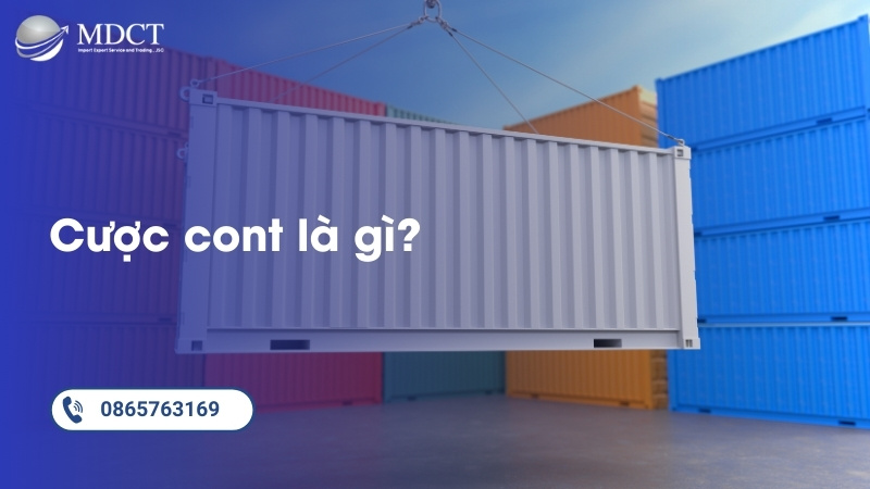 Cược Cont là gì?