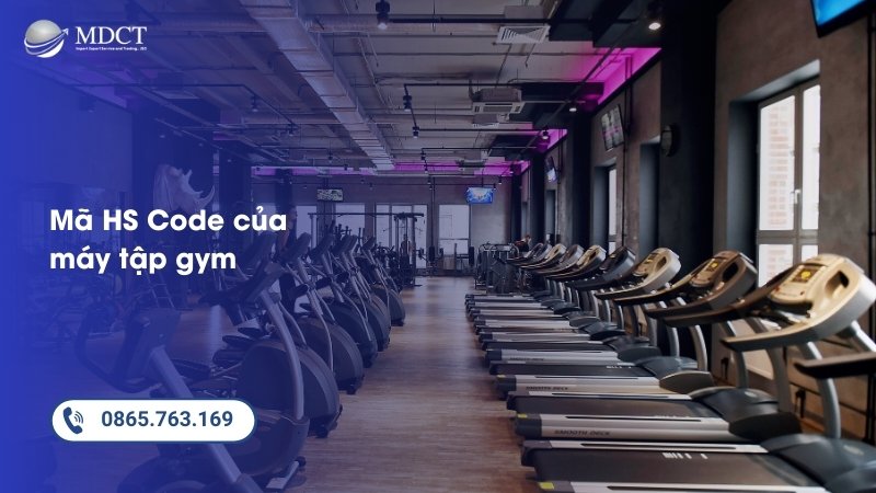 Mã HS của máy tập gym