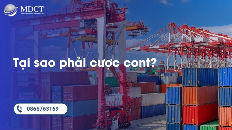 Tại sao phải cược cont?