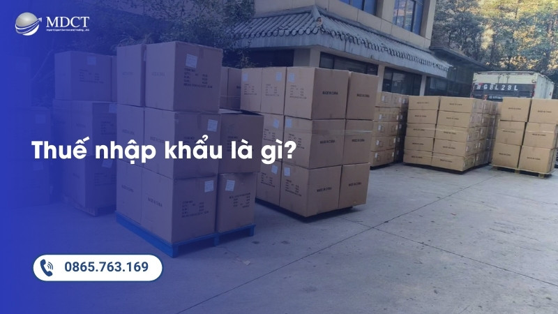 Thuế nhập khẩu là gì